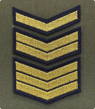 cat13