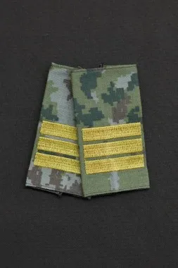 photo_2026-01-15_21-43-52