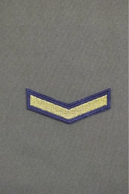 photo_2026-01-16_23-33-02